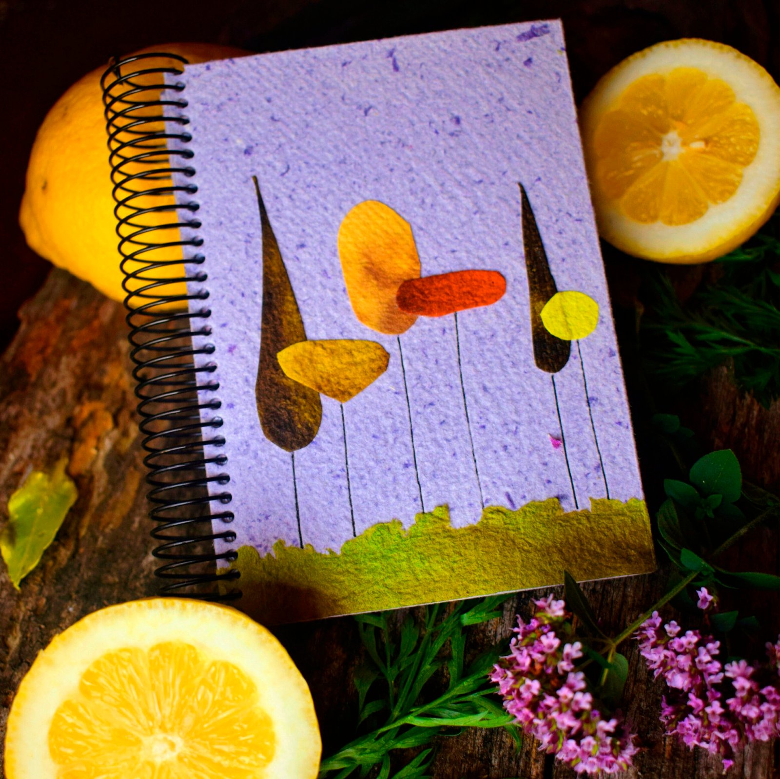 cuaderno